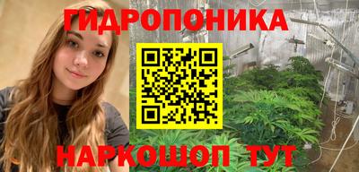 прущие крисы Гай