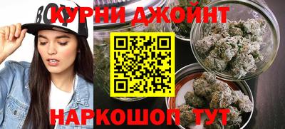 прущие крисы Гай