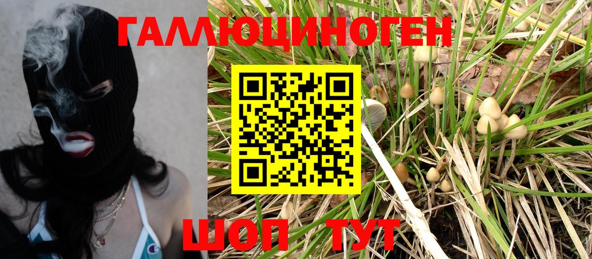 Псилоцибиновые грибы Magic Shrooms  Вход с VPN  Можайск 