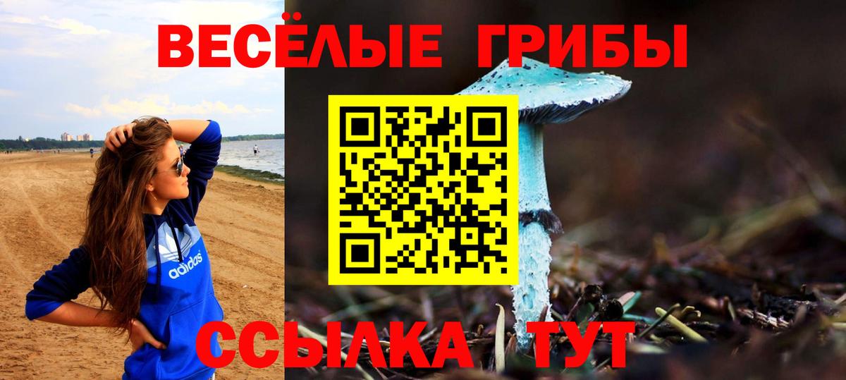 Псилоцибиновые грибы мухоморы Можайск